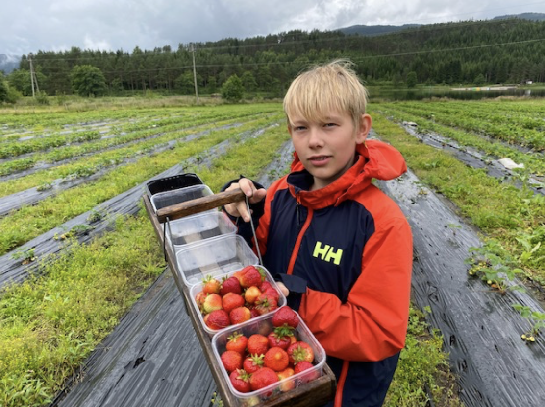 Et bilde som inneholder gress, utendørs, himmel, person

Automatisk generert beskrivelse