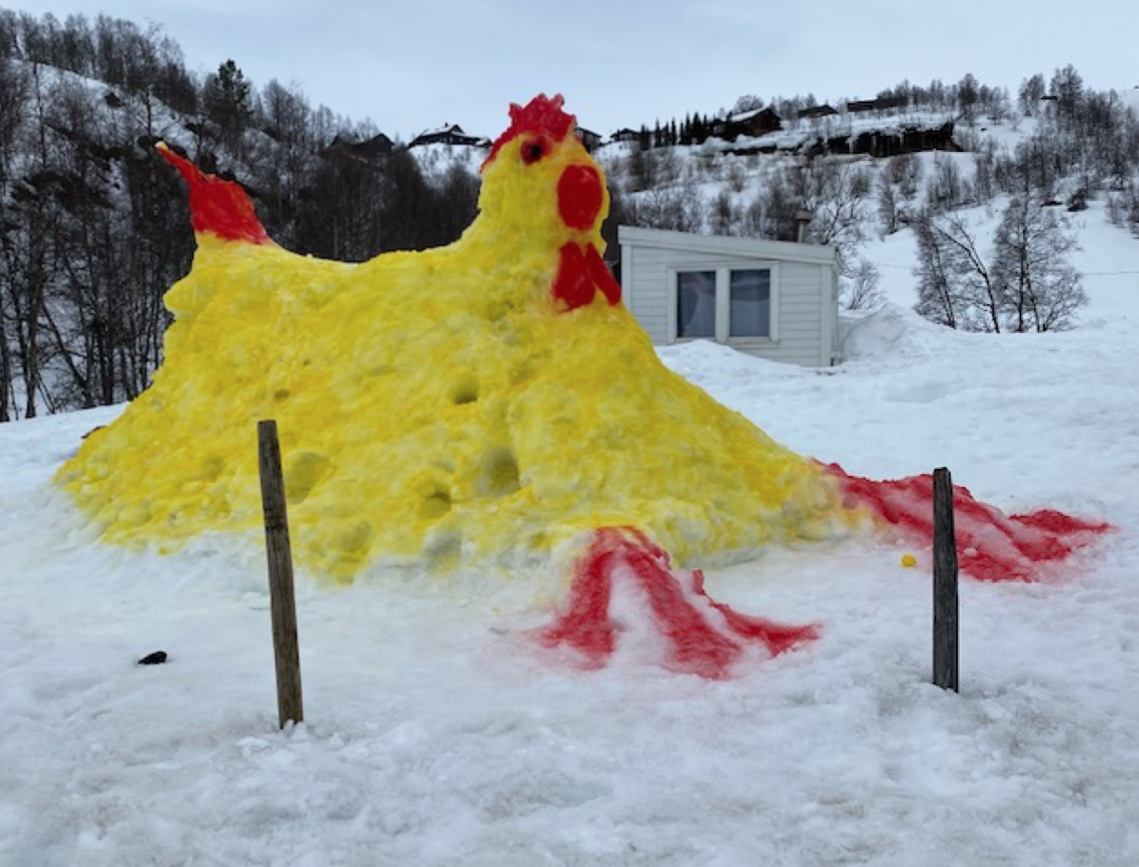 Et bilde som inneholder snø, himmel, utendørs, natur Automatisk generert beskrivelse