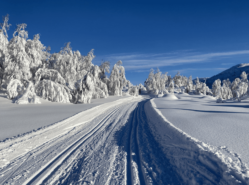 Et bilde som inneholder snø, utendørs, himmel, natur Automatisk generert beskrivelse