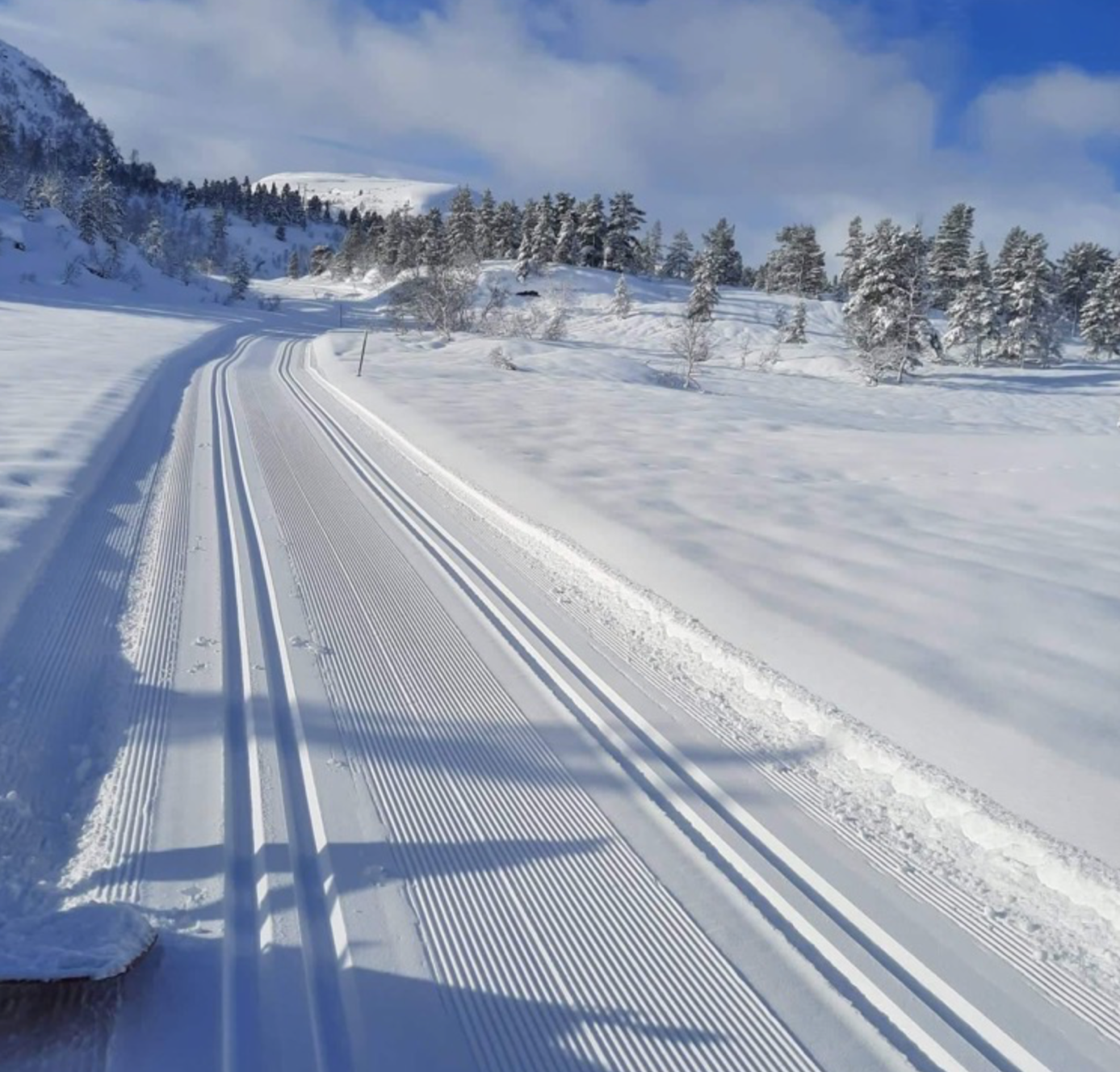 Et bilde som inneholder snø, utendørs, himmel, scene Automatisk generert beskrivelse
