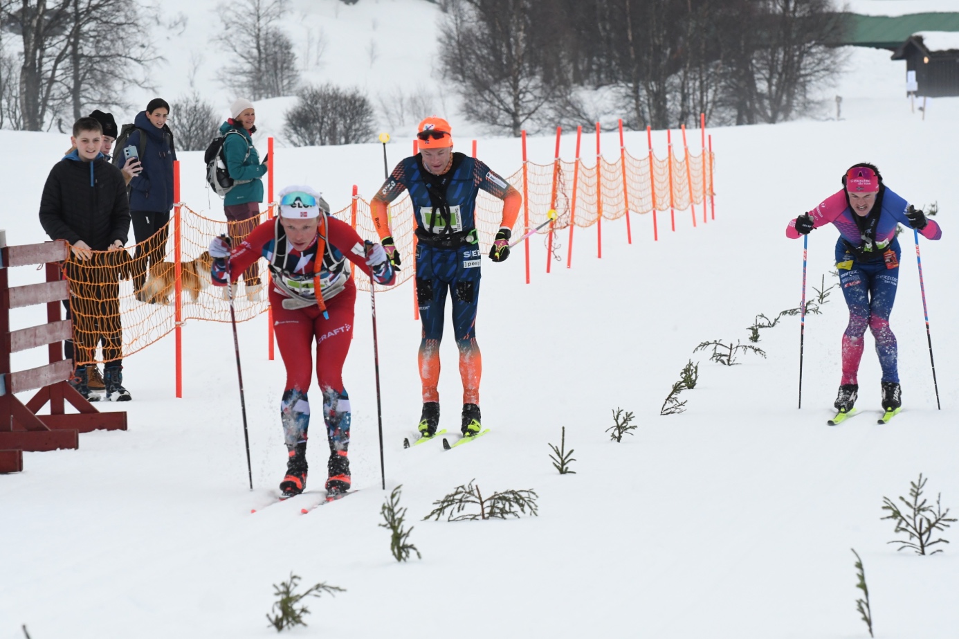 Et bilde som inneholder snø, utendørs, skisport, tre

Automatisk generert beskrivelse