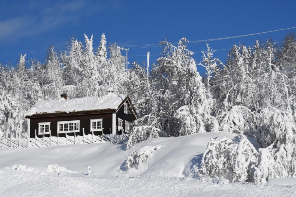 Et bilde som inneholder snø, utendørs, tre, gå på ski Automatisk generert beskrivelse