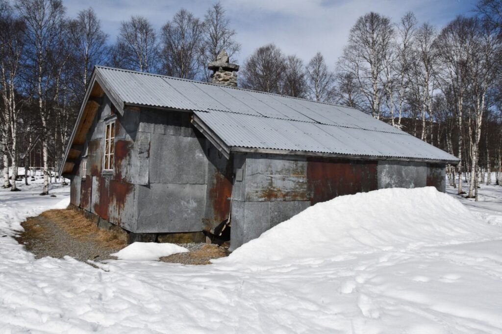 Et bilde som inneholder snø, utendørs, tre, gå på ski Automatisk generert beskrivelse