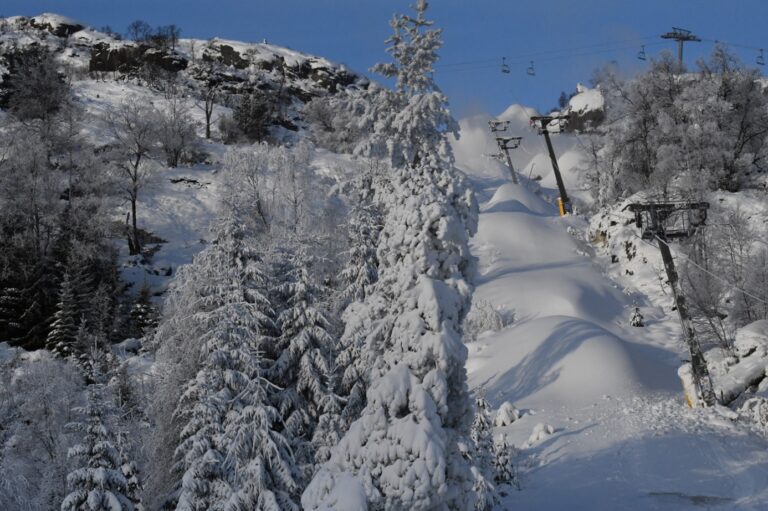 Et bilde som inneholder snø, utendørs, tre, gå på ski Automatisk generert beskrivelse