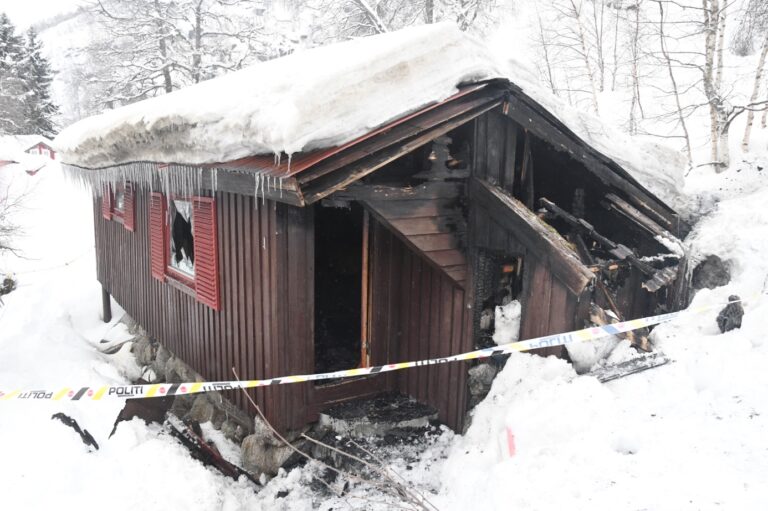 Et bilde som inneholder snø, utendørs, tre, gå på ski Automatisk generert beskrivelse