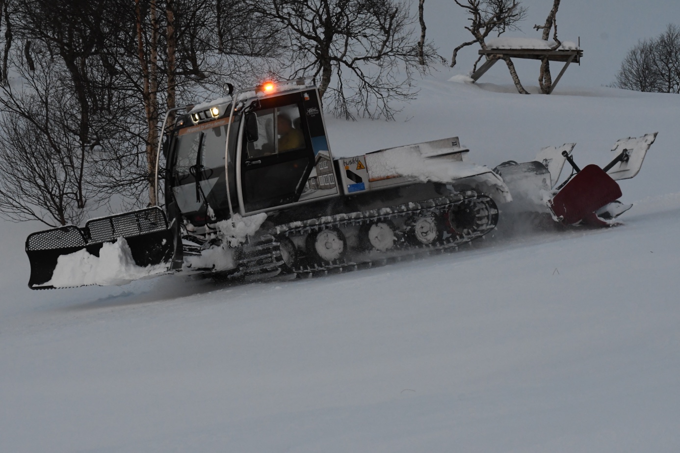 Et bilde som inneholder snø, utendørs, tre, gå på ski

Automatisk generert beskrivelse