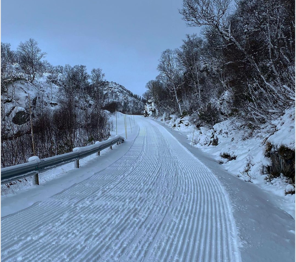 Et bilde som inneholder snø, utendørs, tre, gå på ski Automatisk generert beskrivelse