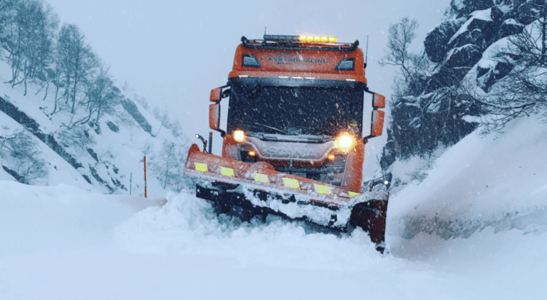 Et bilde som inneholder snø, utendørs, tre, himmel Automatisk generert beskrivelse