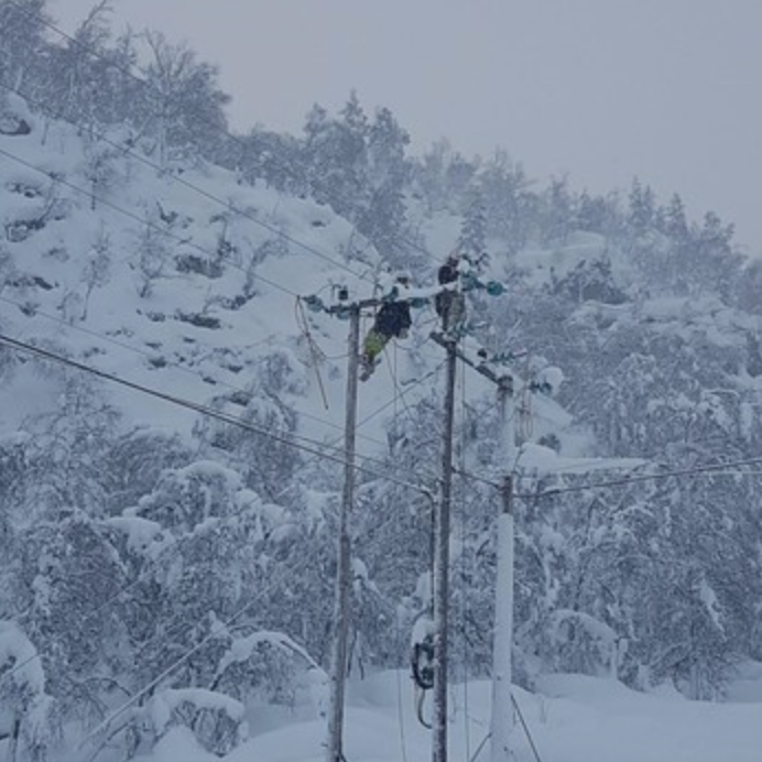 Et bilde som inneholder snø, utendørs, tre, skiheis Automatisk generert beskrivelse