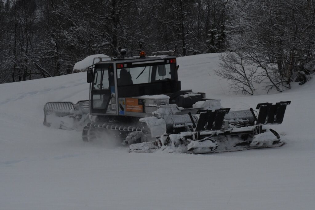 Et bilde som inneholder tre, snø, utendørs, skog Automatisk generert beskrivelse