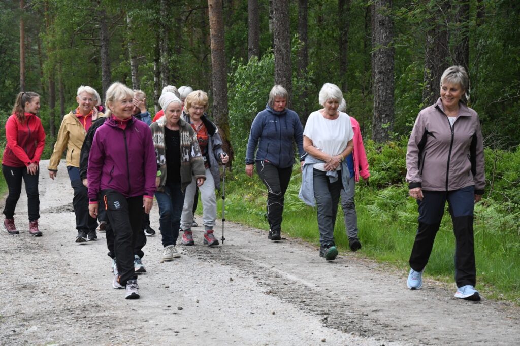 Et bilde som inneholder tre, utendørs, bakke, person Automatisk generert beskrivelse