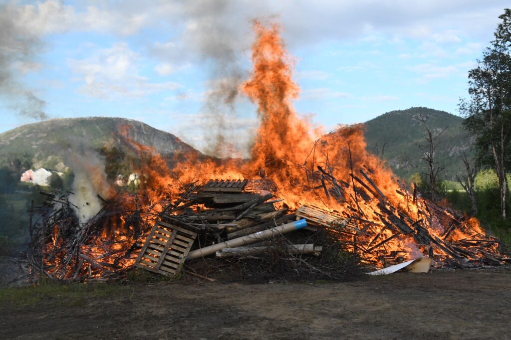 Et bilde som inneholder tre, utendørs, skog, fjell Automatisk generert beskrivelse