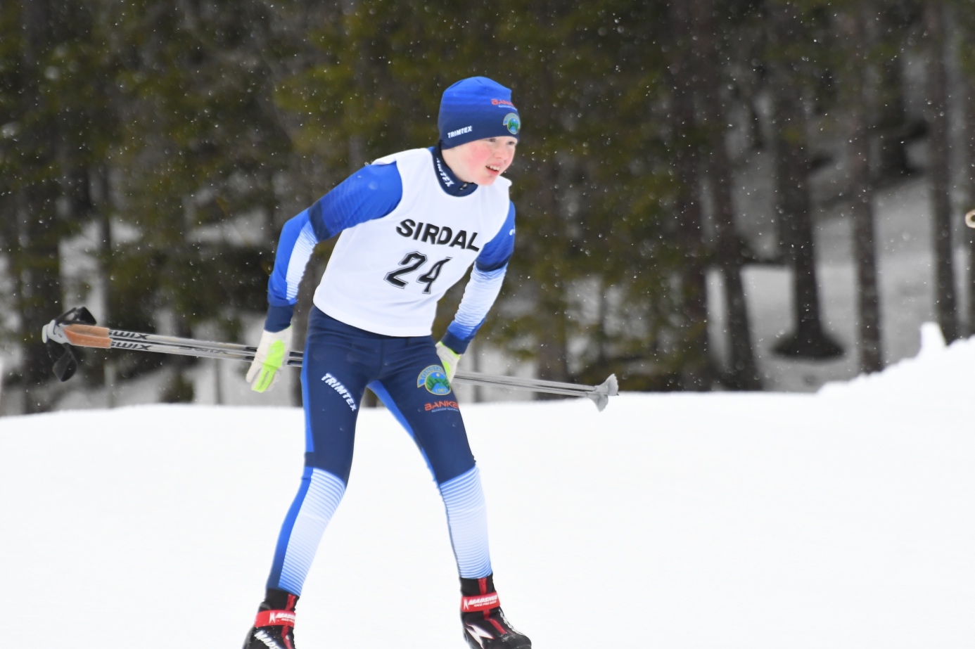 Et bilde som inneholder tre, utendørs, snø, gå på ski

Automatisk generert beskrivelse