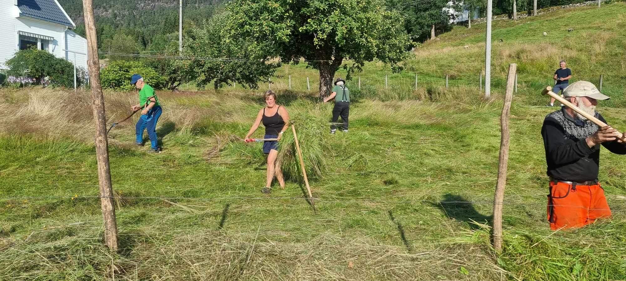 Et bilde som inneholder utendørs, gress, tre, person

Automatisk generert beskrivelse