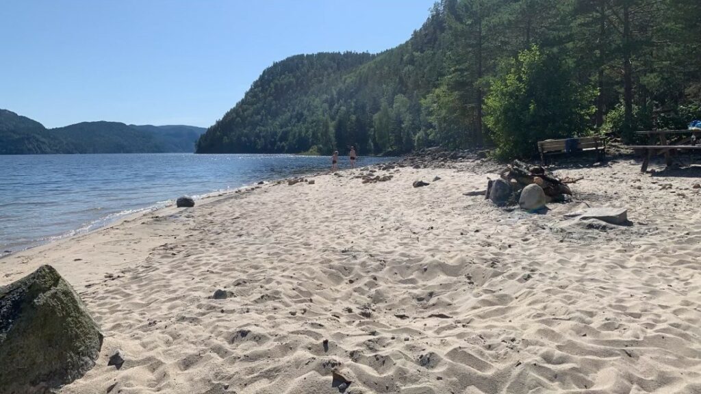 Et bilde som inneholder utendørs, natur, strand, tre Automatisk generert beskrivelse