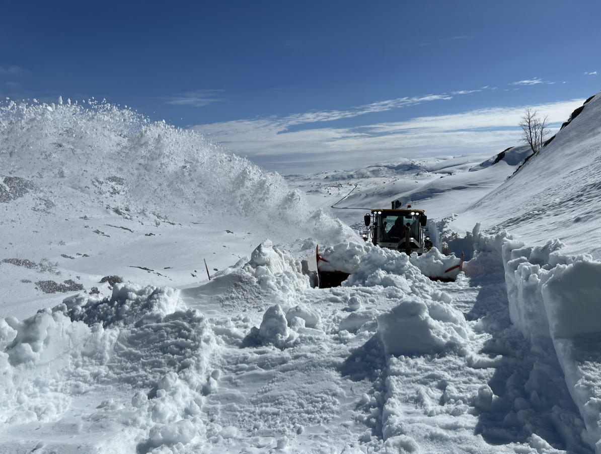 Et bilde som inneholder utendørs, snø, frost, Glasialt relieff

Automatisk generert beskrivelse