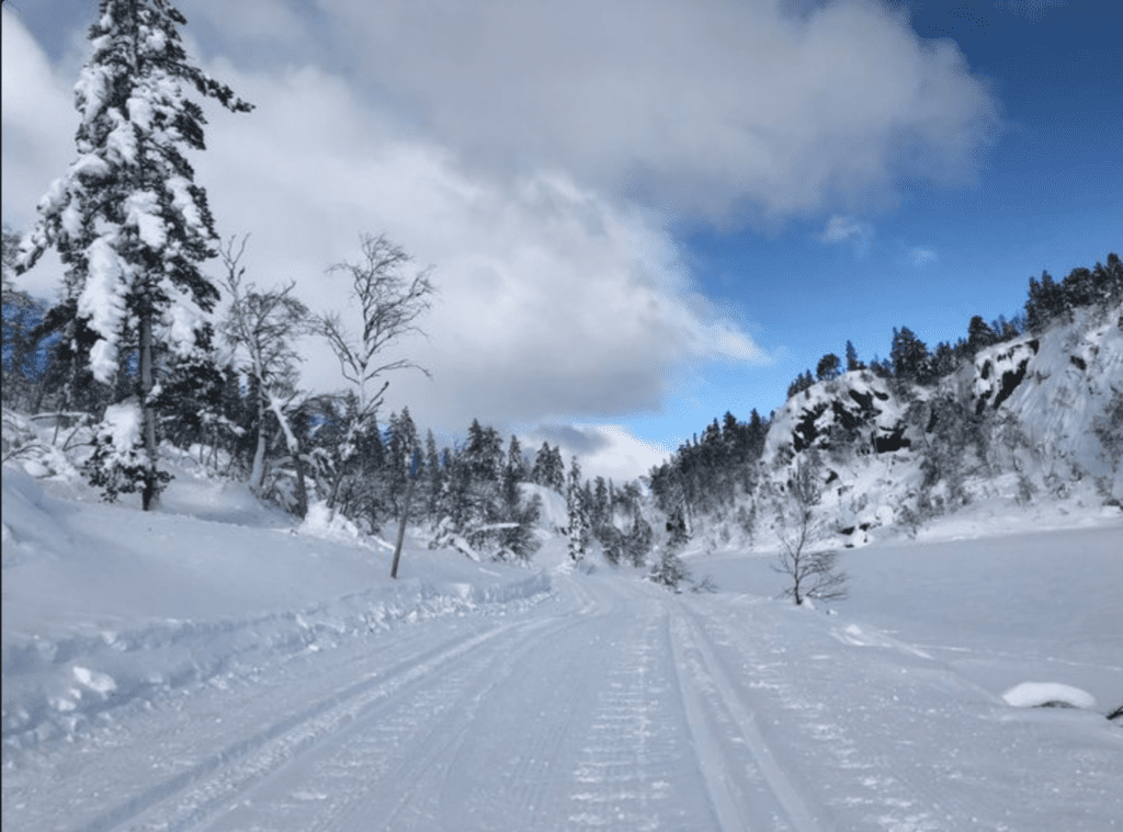 Et bilde som inneholder utendørs, snø, himmel, gå på ski Automatisk generert beskrivelse