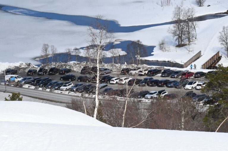 Et bilde som inneholder utendørs, snø, tre, himmel Automatisk generert beskrivelse