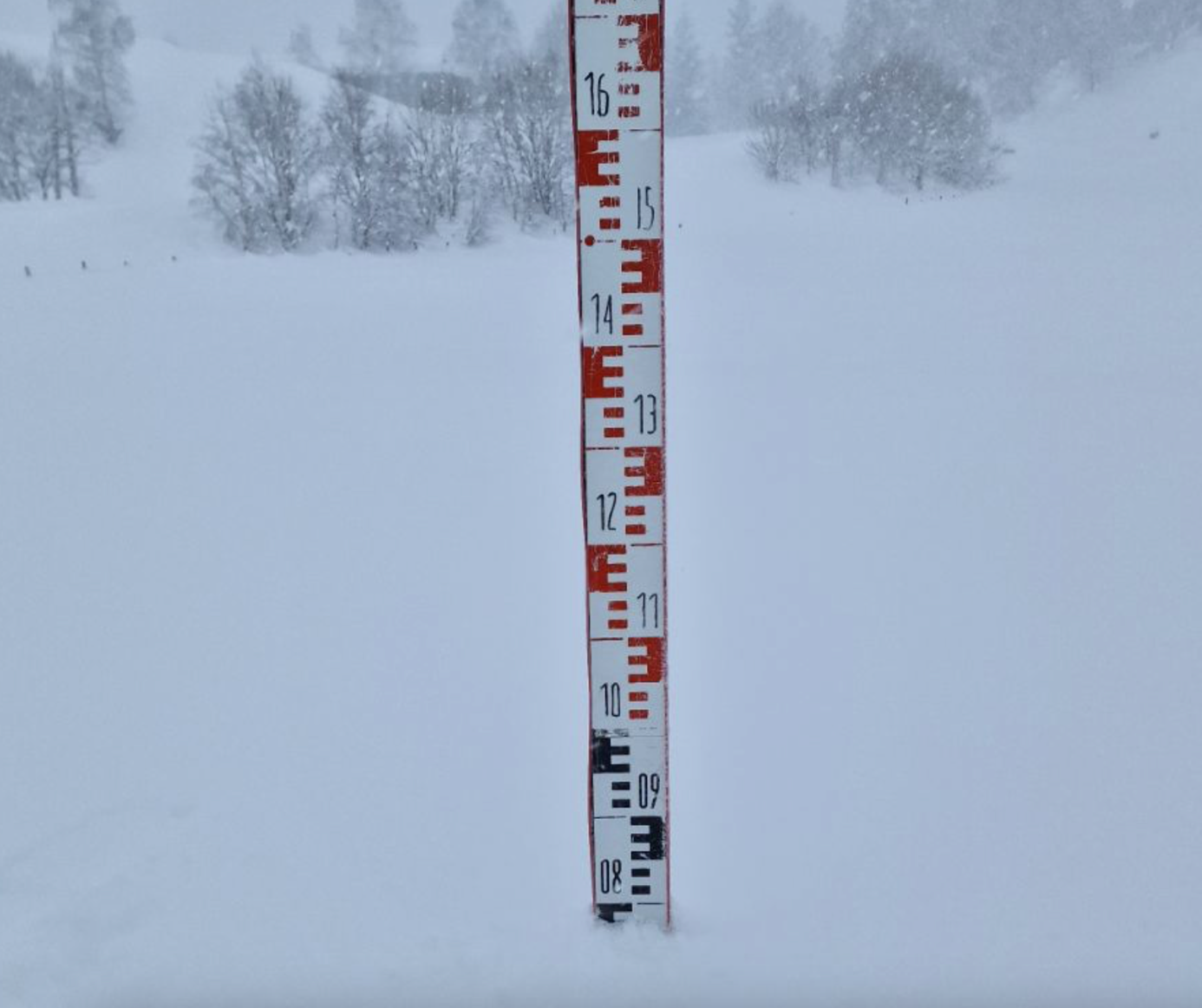 Et bilde som inneholder utendørs, tekst, snø, frost

Automatisk generert beskrivelse