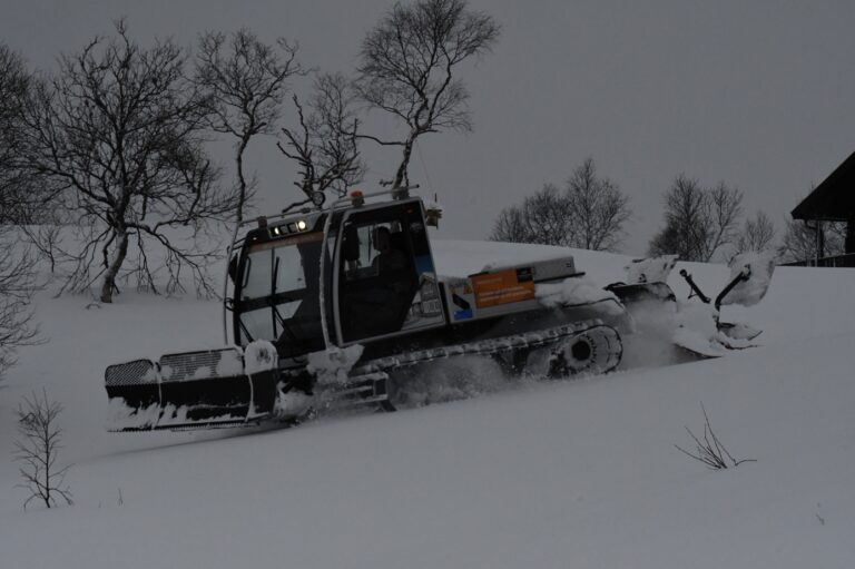 Et bilde som inneholder utendørs, tre, snø, himmel Automatisk generert beskrivelse