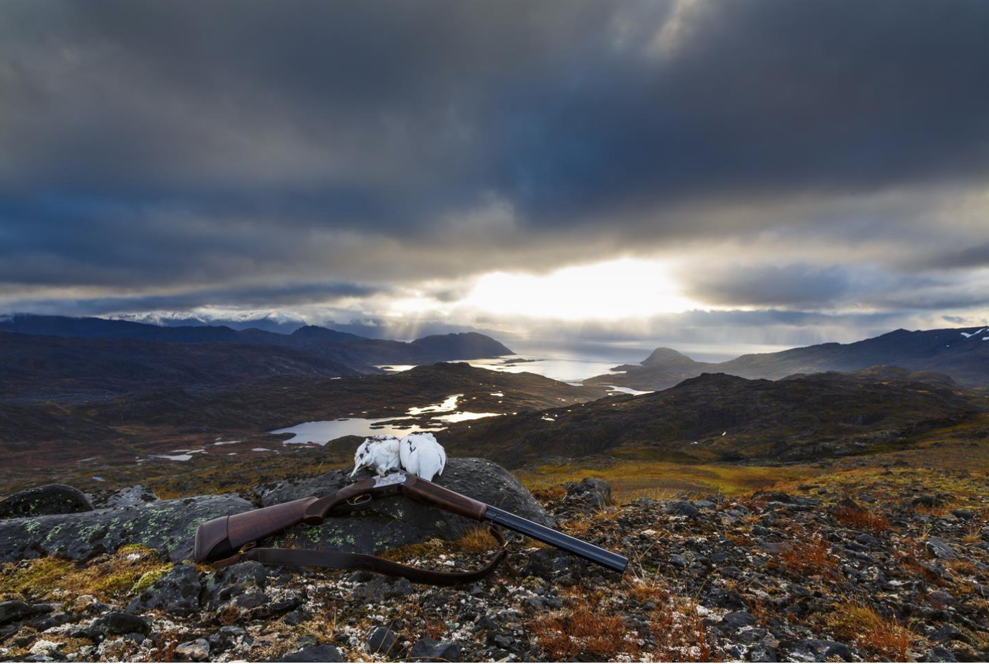 Macintosh HD:Users:Lsir:Leif Sirevåg Dropbox:Leif Sirevåg:Skjermbilder:Skjermbilde 2019-07-21 17.21.30.png