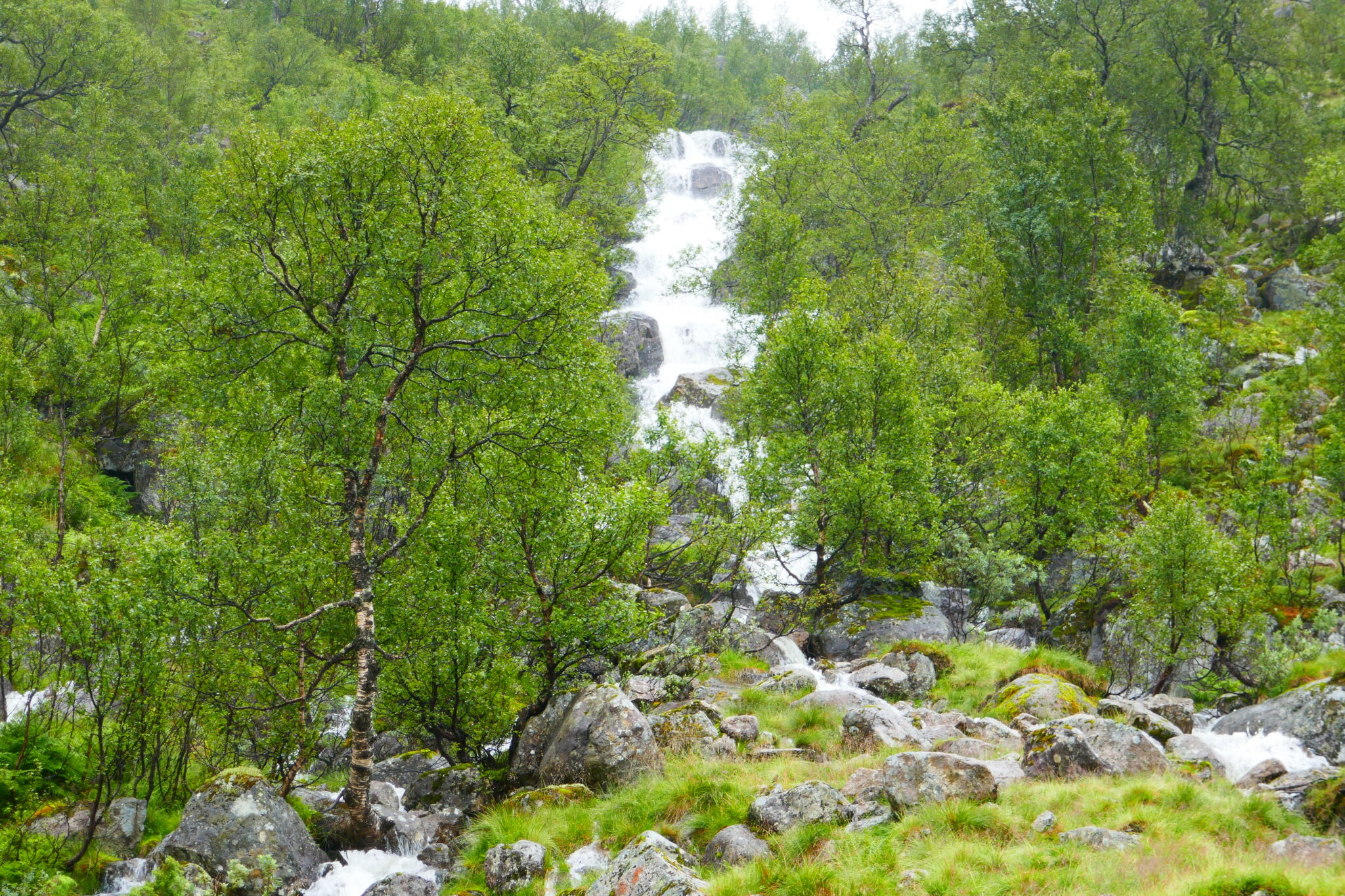 Macintosh HD:Users:Lsir:Leif Sirevåg Dropbox:Leif Sirevåg:/Users/Lsir/Leif Sirevåg Dropbox/Leif Sirevåg/BSM 2019/2019-08-01 12.00.26.jpgBSM 2019:2019-08-11 11.20.30.jpg
