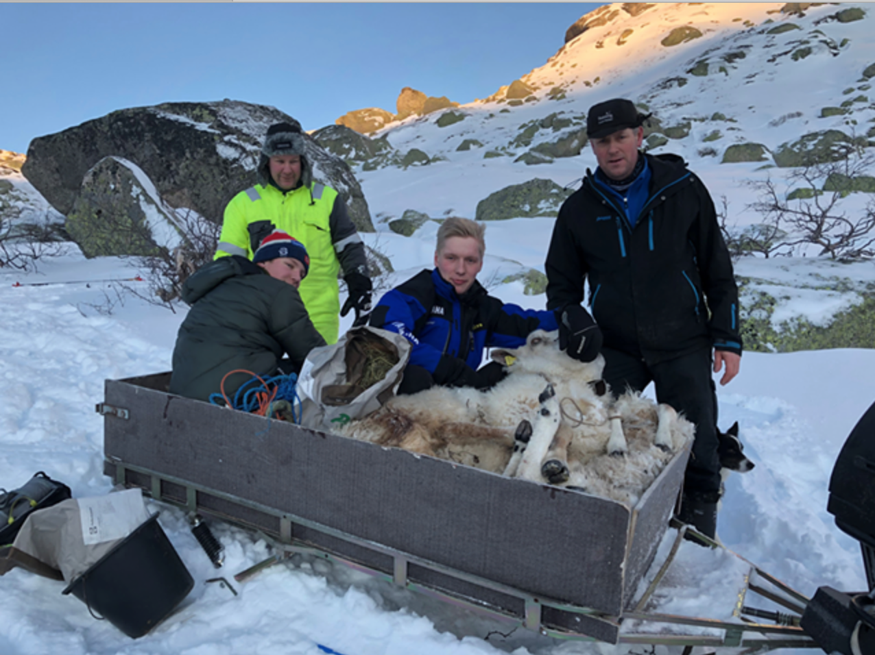 Macintosh HD:Users:Lsir:Leif Sirevåg Dropbox:Leif Sirevåg:Skjermbilder:Skjermbilde 2019-12-27 12.12.54.png