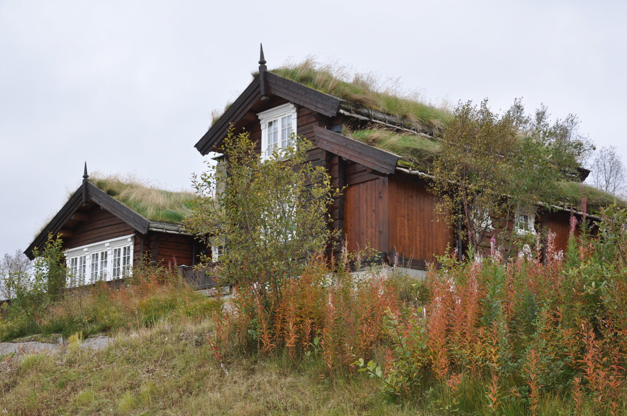 Macintosh HD:Users:Lsir:Leif Sirevåg Dropbox:Leif Sirevåg:/Users/Lsir/Leif Sirevåg Dropbox/Leif Sirevåg/BSM 2019/2019-08-01 12.00.26.jpgBSM 2019:2019-09-23 10.43.59.jpg